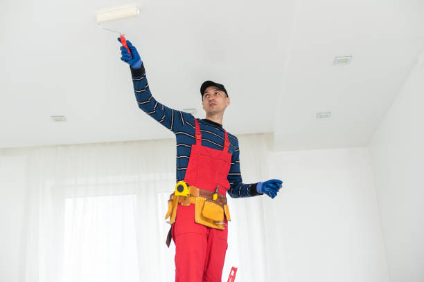 Trusted Macon, MO Mold Removal Experts