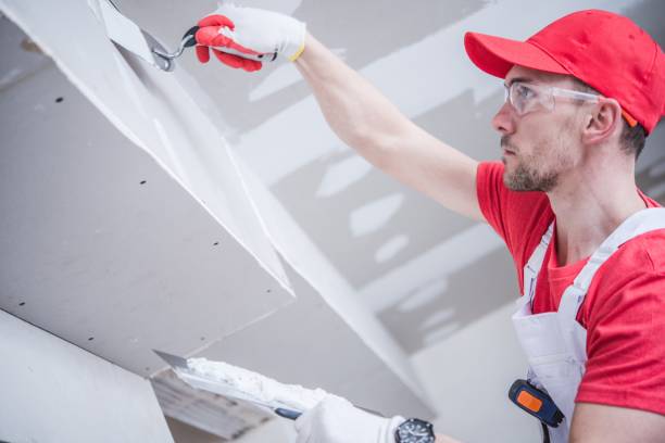Best Basement Mold Removal  in Macon, MO